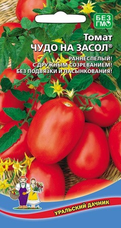 Томат Чудо на засол (УД) *Банка