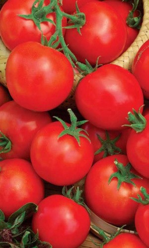 Томат Ранний 83 (УД) Е/П +50% БЕСПЛАТНО