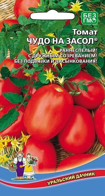 Томат Чудо на засол (УД) Е/П [светокультура]