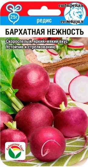 Редис Бархатная нежность 2гр (Сиб Сад)
