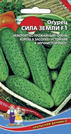 Огурец Сила земли F1 0,25гр Ур. дачник