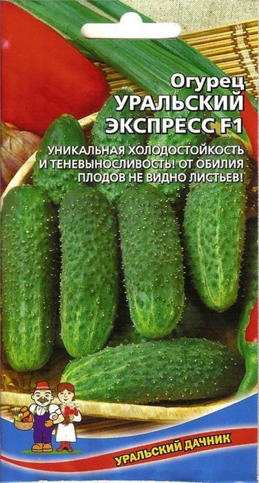 Огурец Уральский экспресс F1 10шт Ур. дачник
