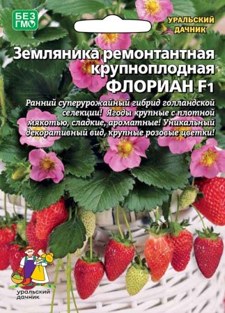 Земляника Флориан - ремонтантная F1 (УД)