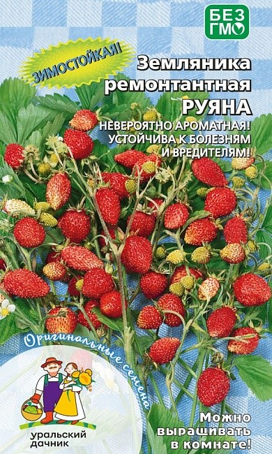 Земляника Руяна - ремонтантная (УД) Е/П