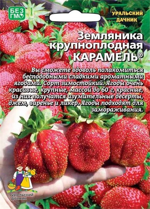 Земляника Карамель крупноплодная 10шт (УД)