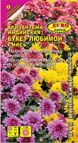 Хризантема Индийская Букет Любимой, смесь(Аэлита)многол,50см