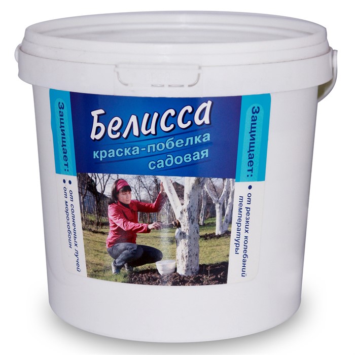 Краска Белисса ВX ведро 2,8кг