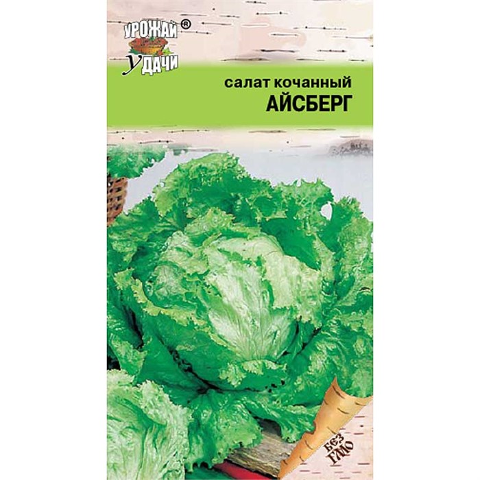 Салат Айсберг Урожай у дачи
