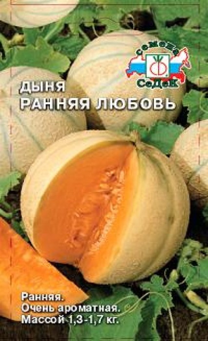 Дыня Ранняя любовь  Седек