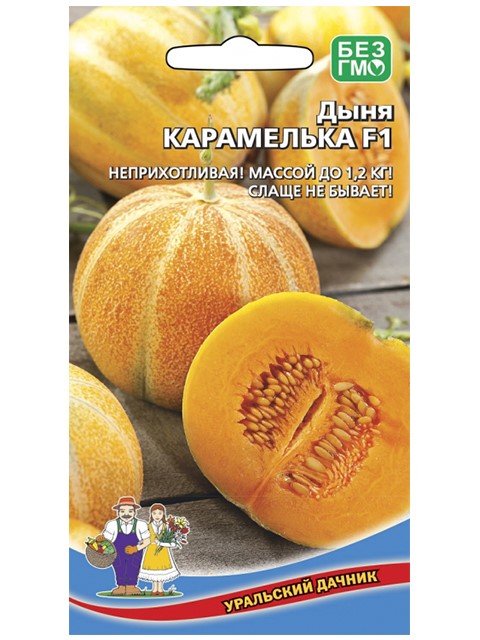 Дыня Карамелька Уральский дачник