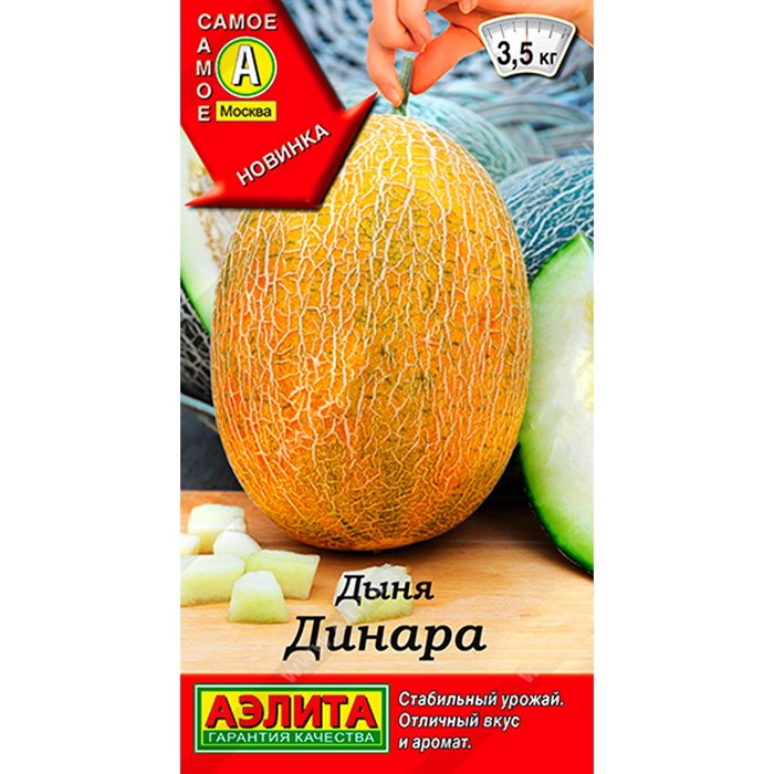 Дыня Динара Аэлита