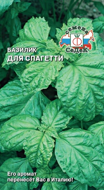 Базилик Зеленый Для Спагетти Седек
