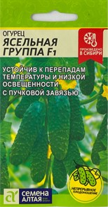 Огурец Ясельная группа F1 5шт семена Алтая