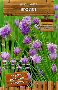 Лук шнитт Эгоист Декоративный огород  Поиск