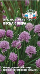 Лук на зелень Весна севера Седек