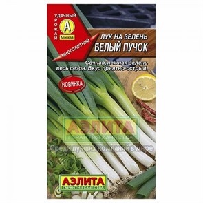 Лук батун Белый пучок Аэлита