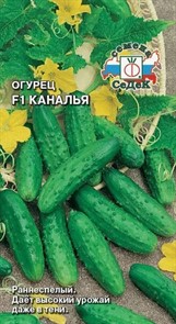 Огурец Каналья F1  0,2гр Седек