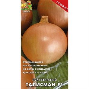 Лук репчатый Талисман Поиск