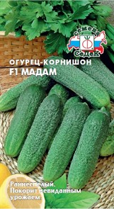 Огурец-корнишон Мадам F1 0,2г Седек