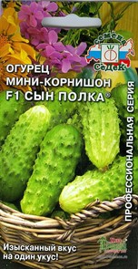 Огурец мини-корнишон Сын полка F1 0,3г Седек