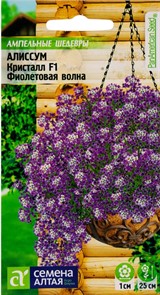 Алиссум Кристалл F1 Фиолетовая волна ампельный  0,01гр Семена Алтая