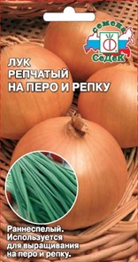 Лук репчатый На перо и репку Седек