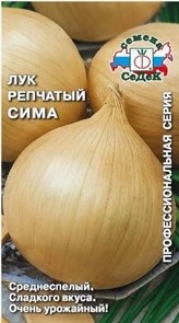 ЛУК РЕПЧАТЫЙ СИМА СЕДЕК