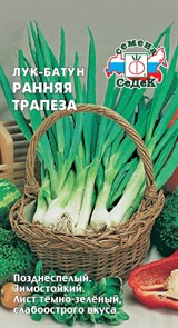 Лук батун Ранняя Трапеза Седек