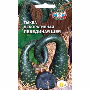 Тыква Лебединая шея декоративная Седек