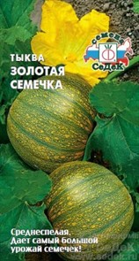 Тыква Золотая семечка Седек