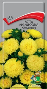 Астра низкорослая Желтый ковер 0,2гр. Поиск