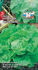 Салат кочанный Сашенька 1г Седек Салат кочанный Сашенька 1г Седек