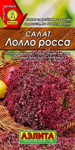 Салат Лолло Росса 1гр Аэлита