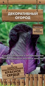 Капуста к к Красное сердце Декоративный огород Поиск