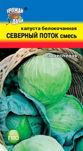 Капуста б к Северный поток смесь 0,3гр УУ