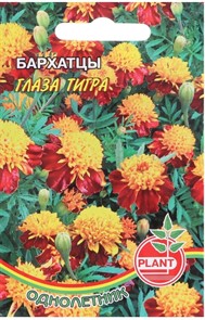 Бархатцы "Глаза тигра", 0,1 г 5416418