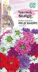 Вербена низкая Рио де Жанейро/Чудесный балкон  0,1гр ГШ