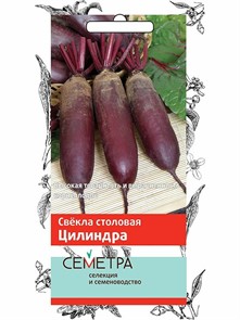 Свекла Цилиндра Семетра 3гр. Поиск