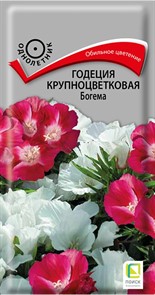 Годеция Богема крупноцветковая 0,2гр /10