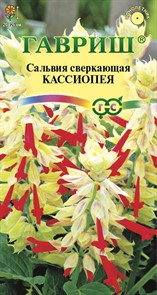 Сальвия Кассиопея, карликовая 4 шт. (Гавриш)