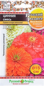 Цинния Русский размер XXL смесь 10шт НК