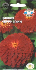 Цинния Черри куин георговидн. 0,5г Седек