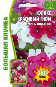 Флокс Красивый гном смесь 250шт Большая Клумба