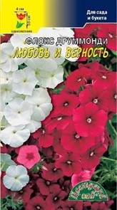 Флокс Верность и нежность 0,1г Цв.сад