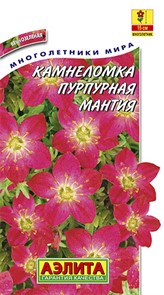 Камнеломка арендса Пурпурная мантия 0,03гр Аэлита