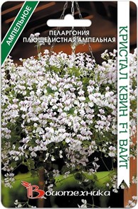 Пеларгония Кристал Квин F1 Вайт плющелистная  5шт Биотехника