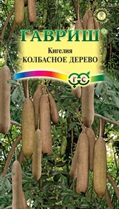 Кигелия Колбасное дерево 3шт ГШ