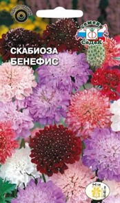 Скабиоза Бенефис махр. смесь 0,3г Седек