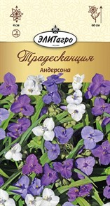 Традесканция Андерсона смесь 0,1гр АэлитаАгро