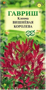 Клеома Вишневая королева 0,3 г (Гавриш)